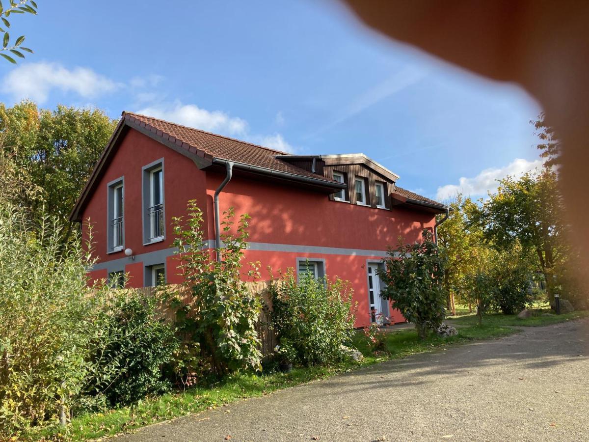 Urlaubsoase Ostsee Ferienhaus Hohen Schoenberg
