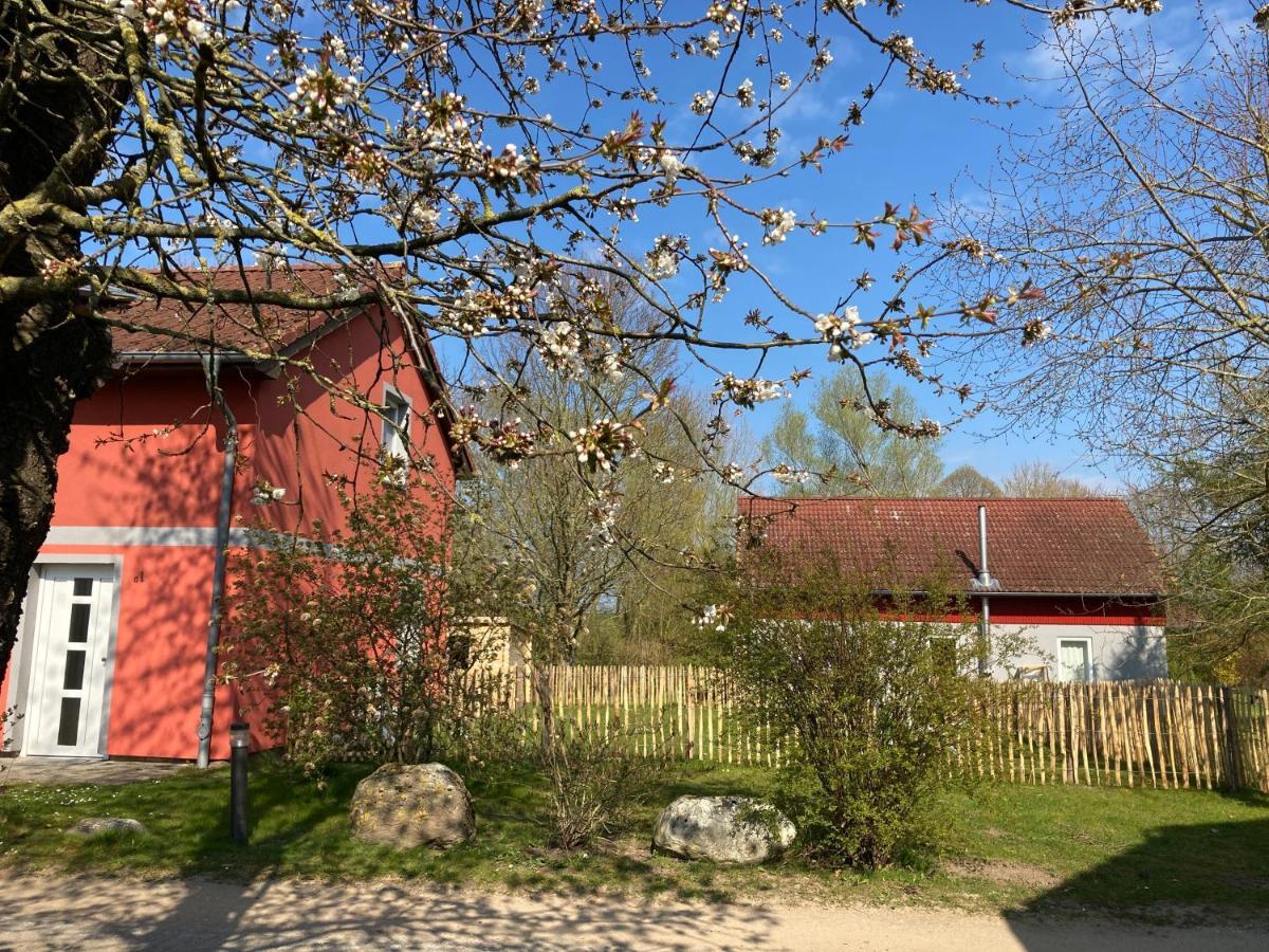Ferienhaus Urlaubsoase Ostsee *